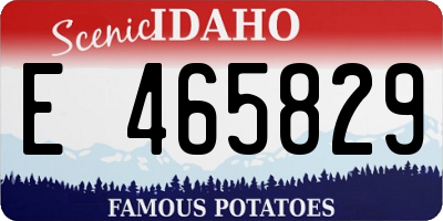 ID license plate E465829