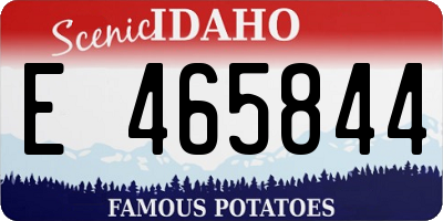 ID license plate E465844