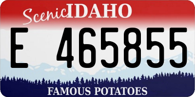 ID license plate E465855