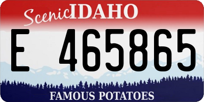 ID license plate E465865