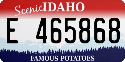 ID license plate E465868