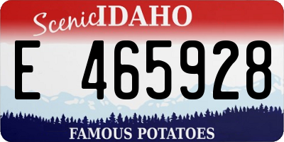 ID license plate E465928