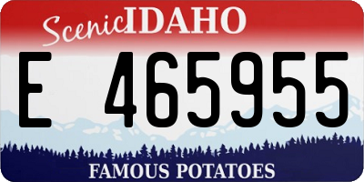 ID license plate E465955