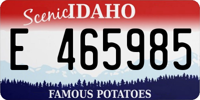 ID license plate E465985