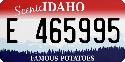 ID license plate E465995