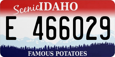 ID license plate E466029