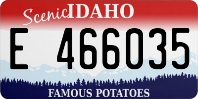 ID license plate E466035
