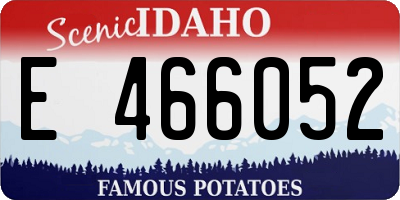 ID license plate E466052