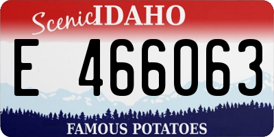 ID license plate E466063
