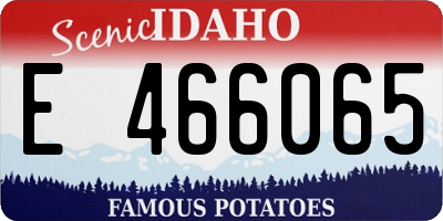 ID license plate E466065
