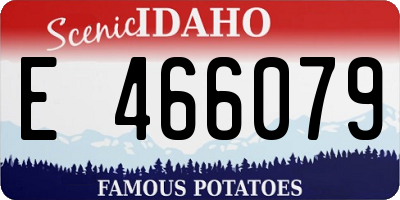 ID license plate E466079