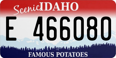 ID license plate E466080
