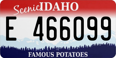 ID license plate E466099