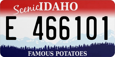 ID license plate E466101