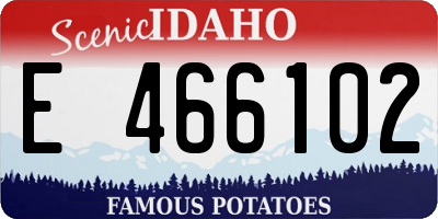 ID license plate E466102