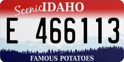 ID license plate E466113