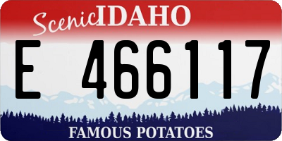ID license plate E466117