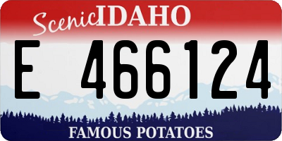 ID license plate E466124