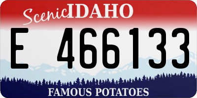 ID license plate E466133