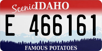 ID license plate E466161