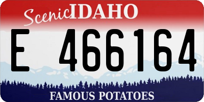 ID license plate E466164