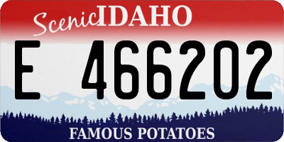 ID license plate E466202