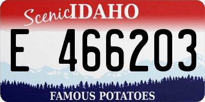 ID license plate E466203