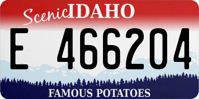 ID license plate E466204