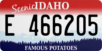 ID license plate E466205