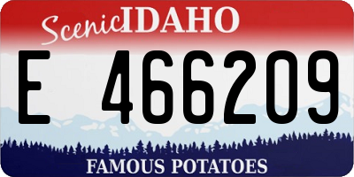 ID license plate E466209