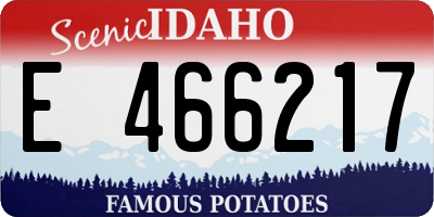 ID license plate E466217
