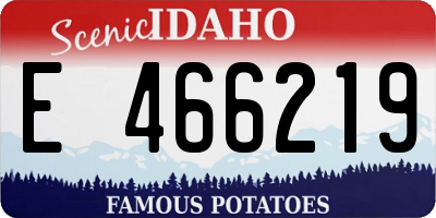 ID license plate E466219