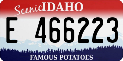 ID license plate E466223