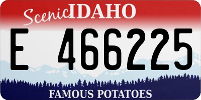 ID license plate E466225