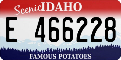ID license plate E466228