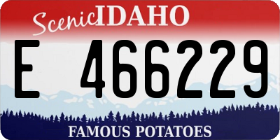 ID license plate E466229