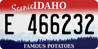 ID license plate E466232