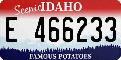 ID license plate E466233