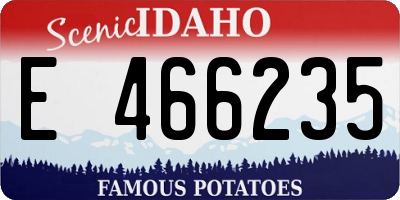 ID license plate E466235