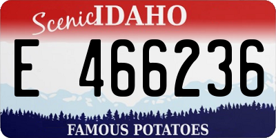 ID license plate E466236