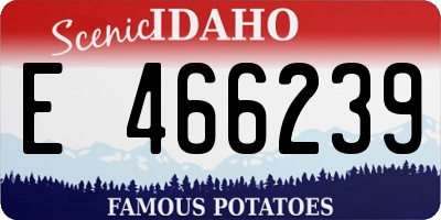 ID license plate E466239