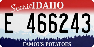 ID license plate E466243