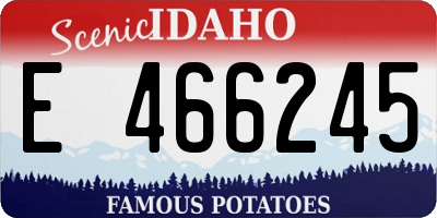 ID license plate E466245