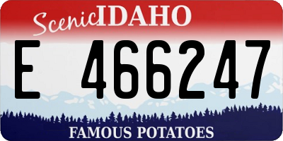 ID license plate E466247