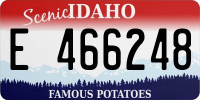 ID license plate E466248