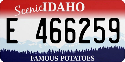 ID license plate E466259