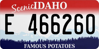 ID license plate E466260