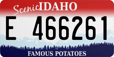 ID license plate E466261