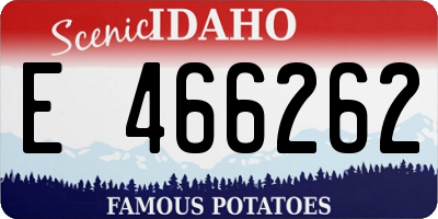 ID license plate E466262