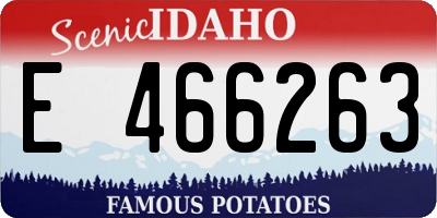 ID license plate E466263